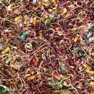 compost photo by LS Miller