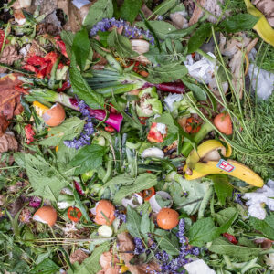 compost photo by LS Miller