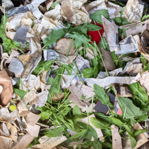 compost photo by LS Miller