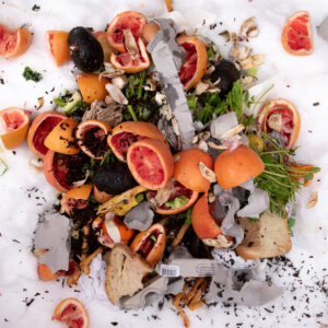 compost photo by LS Miller