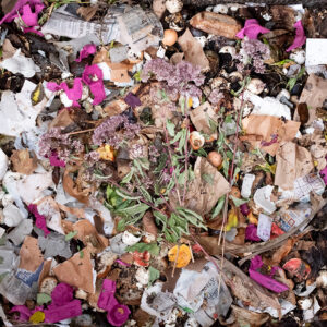 compost photo by LS Miller