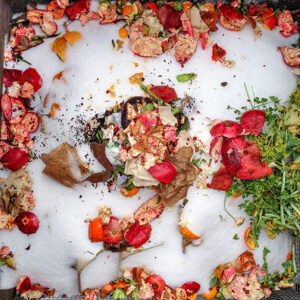 compost photo by LS Miller