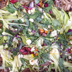 compost photo by LS Miller