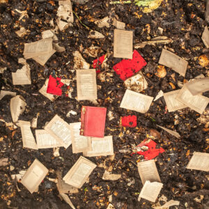 compost photo by LS Miller