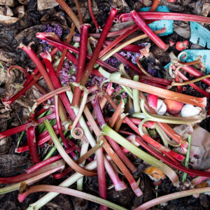 compost photo by LS Miller