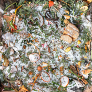 compost photo by LS Miller