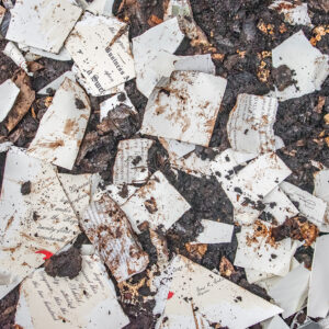 compost photo by LS Miller