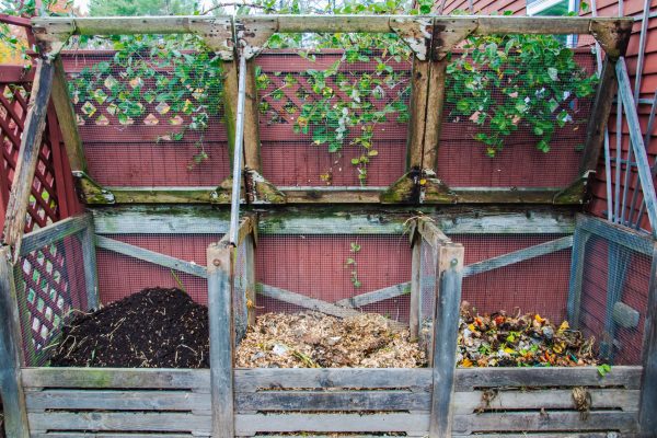 Compost Bin in Action