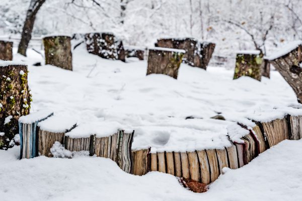 Garden Library, Snowy Day